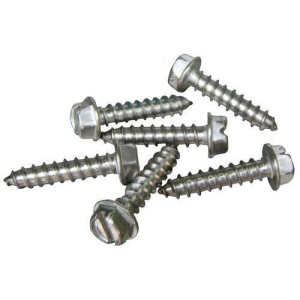 SS Screws and Bolts