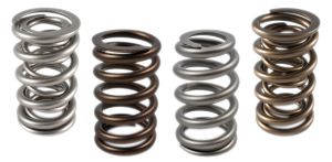 Engine Valve Spring