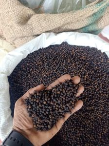 Kerala black pepper
