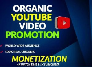Organic Youtube Video Promotion