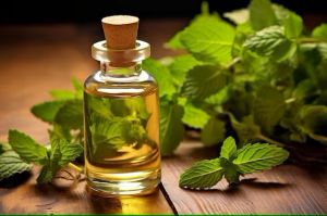 Herbal, Ayurvedic Oils & Cosmetics