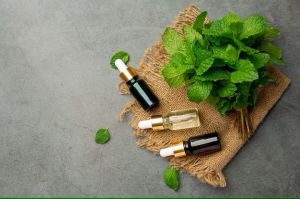 Basil Oil - Organic