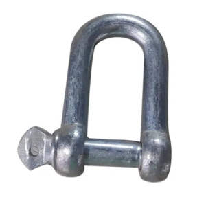 MS Lifting D Shackle