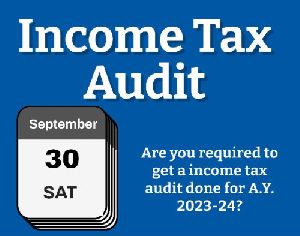 income tax audit service