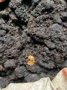 cashew shell oil sludge