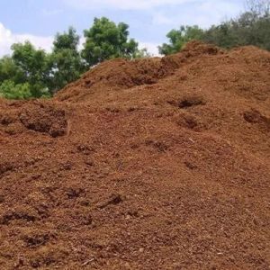 Coir Pith Compost