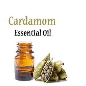 Cardamom Essential Oil