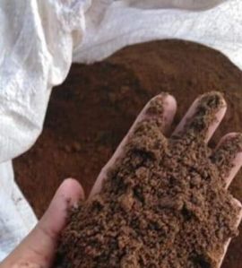 AGRICULTURAL FOODSTUFF PALM KERNEL CAKE BETTER PROTEIN THAN
