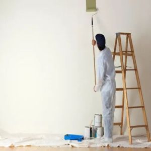 Wall Painting Service,wall painting service