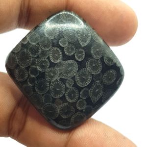 Black Fossil Coral Gemstone