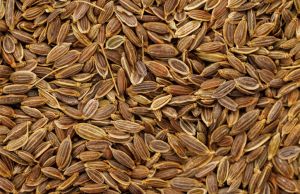 Organic Dill Seeds, For Cooking, Certification : FSSAI Certified