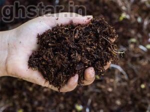 organic fertilizer