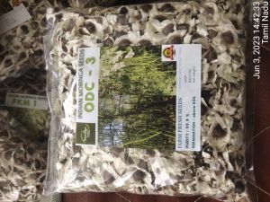 MORINGA SEEDS ODC3