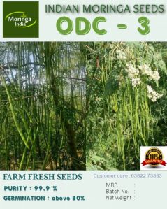 ODC3 MORINGA SEEDS