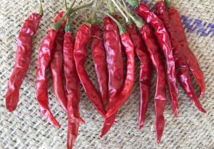 Sannam Dry Red Chilli