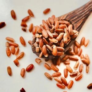 Red Paddy Seeds