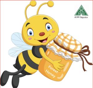 Forest honey (Organic)