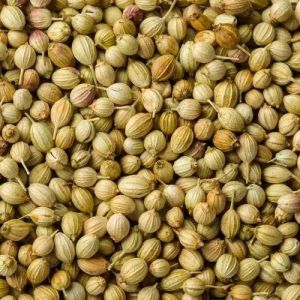 Coriander Seeds