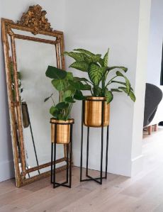 Black and Gold Indoor Plant Stand