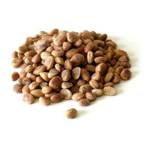 Dry Almondette Seed