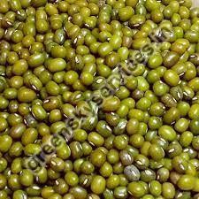 Natural Whole Green Moong Dal, Packaging Type : Plastic Bag, Packaging Size : 10kg, 15kg, 5kg