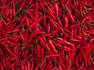 Organic Fresh Red Chilli, For Food, Making Pickles, Feature : Purity, Hot Taste