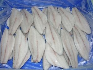 Frozen Barramundi Fish