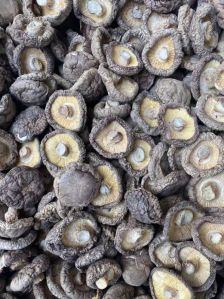 Dry Shiitake Mushroom
