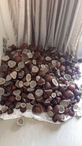 Dry fresh coconut