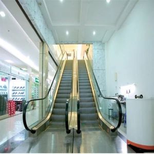 Shopping Mall Escalators