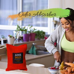 ANEMOI Activated Charcoal Bag Air purifier