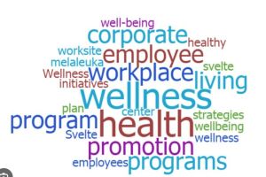 Wellness Program Services