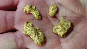 Gold Nuggets
