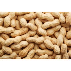 Australian Nuts for Nutrition & Health