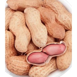 bulk raw organic peanuts