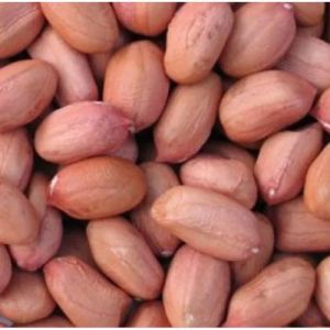 bold peanuts kernels