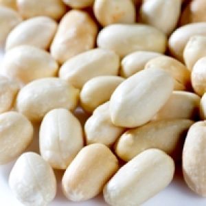 White Pure Groundnut Oil Seed