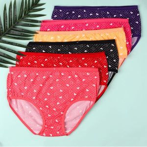 Mohini Printed Ladies Panty