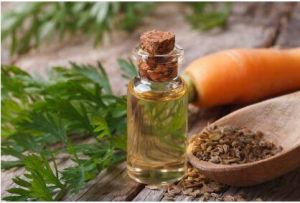 CARROT SEED ESSENTIAL OIL