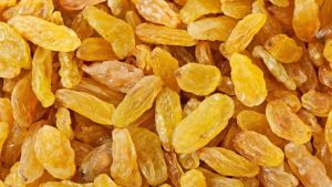 Dried Long Yellow Raisins