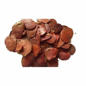 Palash Seeds