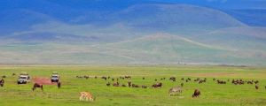 5 DAYS TARANGIRE-LAKE MANYARA-SERENGETI-NGORONGORO SAFARI 5 DAYS TARANGIRE-LAKE MANYARA-SERENGETI-NGORONGORO SAFARI