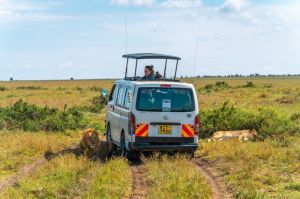 6 DAYS MASAI MARA-LAKE NAKURU-AMBOSELI SAFARI