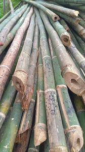 bamboo poles
