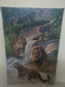 Wild Animal Paintings