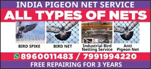 all bird netting services