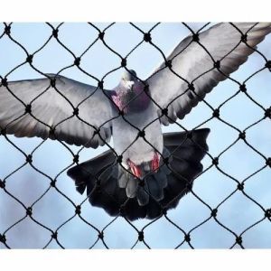 Pigeon net service