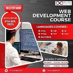 web developer course