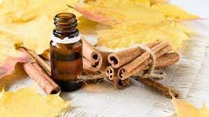 Cinnamon Bark Essential Oil