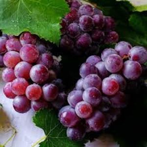 Grape Flavour